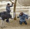 Eunhyuk dan Do Hyun dalam 'Animal' (c) MBC