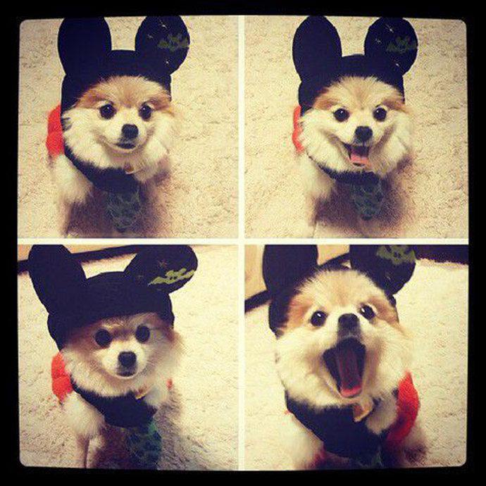 Hani (c) @Yulyulk