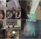 (c) JYP Picture
