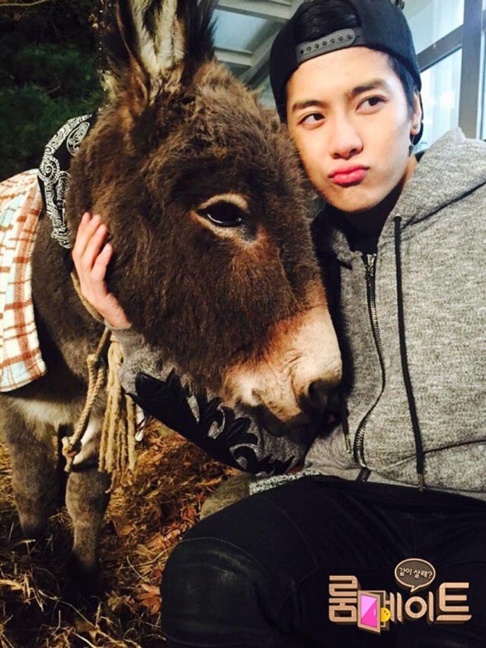 (c) SBS