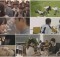 (c) JYP Picture