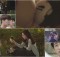 (c) JYP Picture