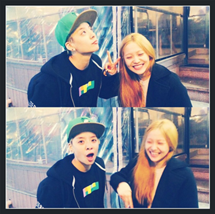 (c) @ajol_llama