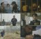 (c) TvN